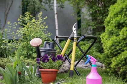 Kertvár.hu -szobanövények és kerti növények gondozási útmutatói