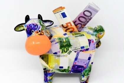 Mi a tőke jelentése és fogalma a gazdaságban?